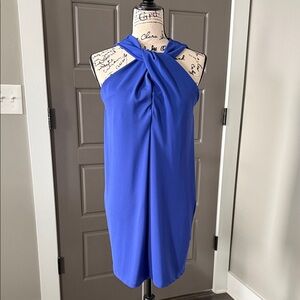 Zara Strapless Blue Dress